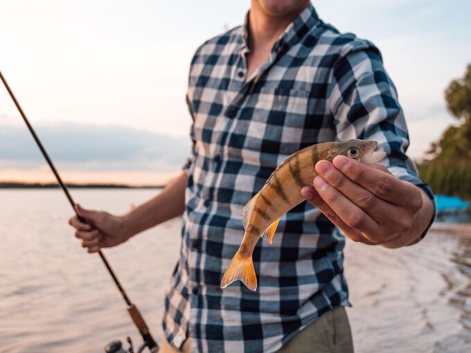 Angler mit Fisch
