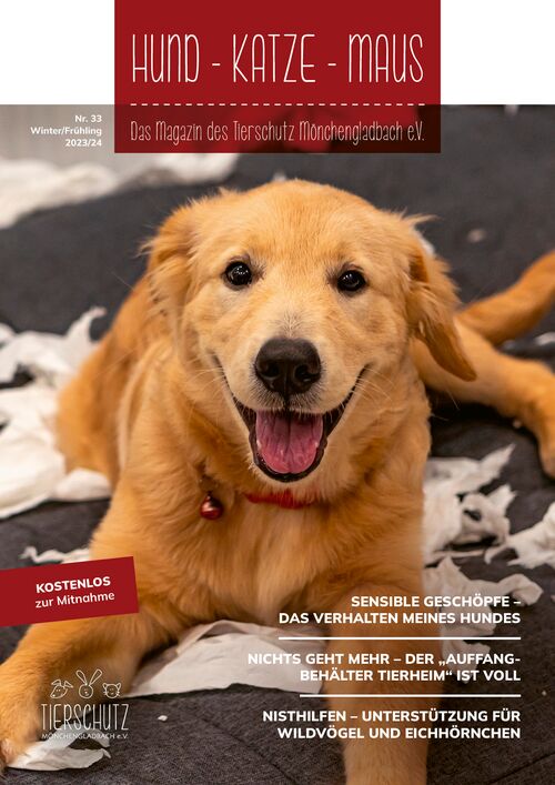 Hund - Katze - Maus Magazin Mönchengladbach