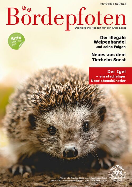 Bördepfoten Magazin Soest