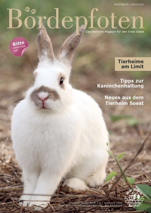 Bördepfoten Magazin Soest