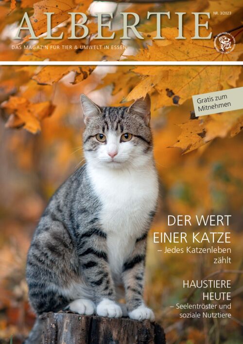 Albertie Magazin Essen