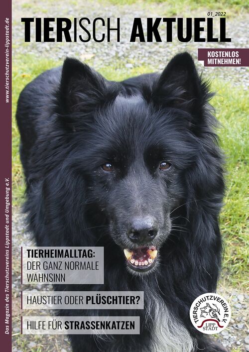tierisch aktuell Magazin Lippstadt