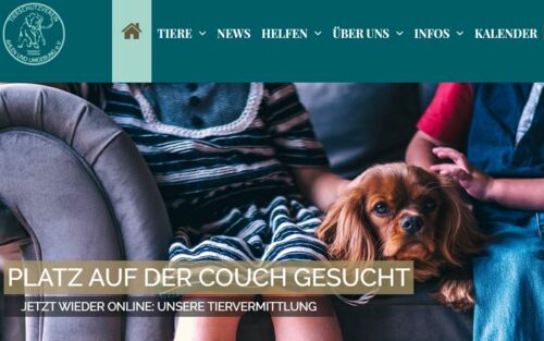 Website Tierschutzverein Ahlen und Umgebung e.V.