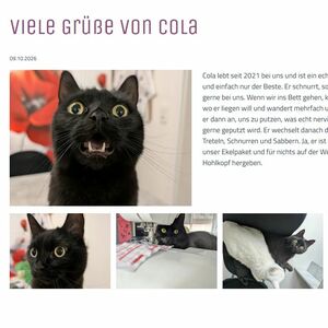 Detailseite einer Nachricht von ehemaligen Tierheimtieren inkl. Galerie, über Tier-Anzeigen realisiert
