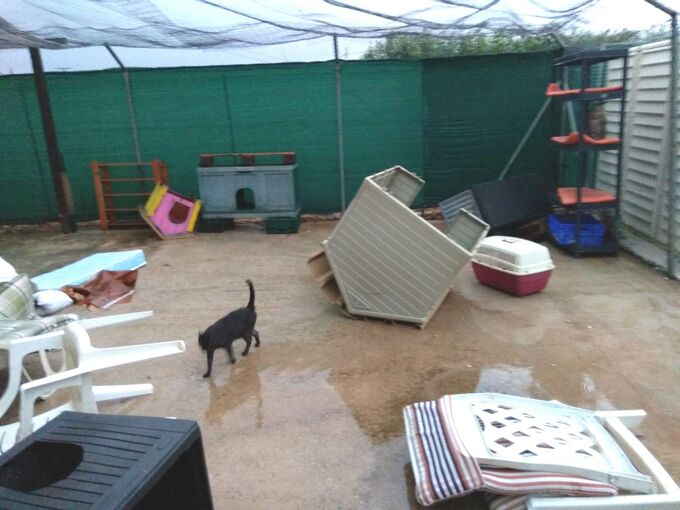 Zerstörtes Katzenheim Aldea Felina