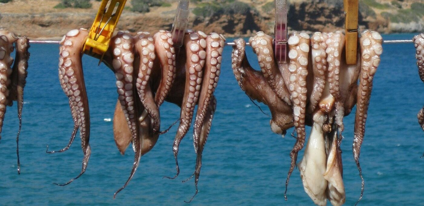 Oktopusse auf Kreta
