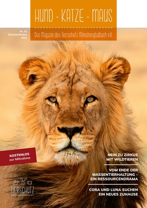 Hund - Katze - Maus Magazin Mönchengladbach