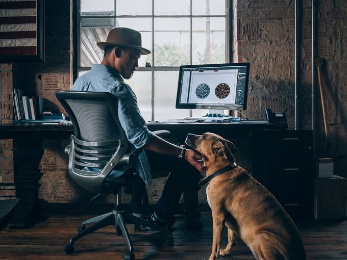 Hund im Büro