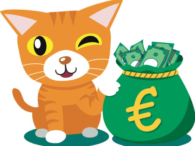 Katze mit Geldsack