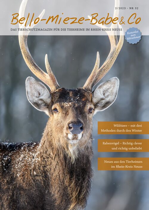 Bello-Mieze-Babe & Co Magazin Neuss