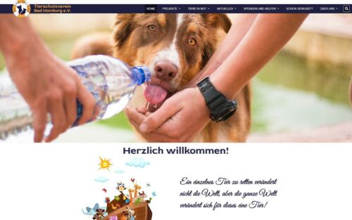 Website des TSV Bad Homburg e.V.