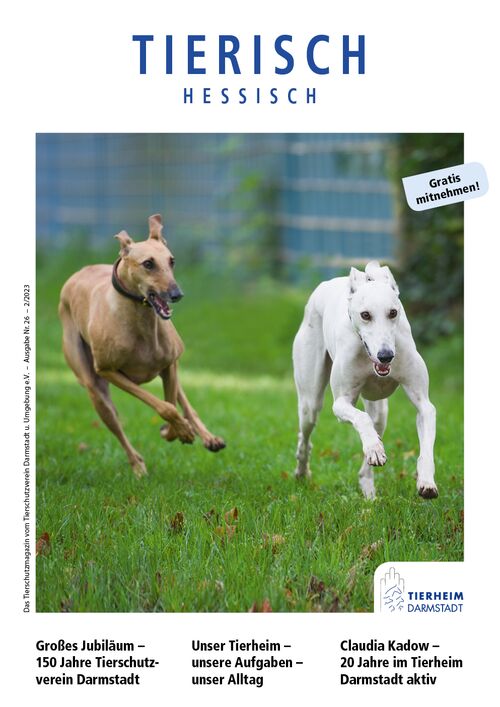 Tierisch hessisch Magazin Darmstadt