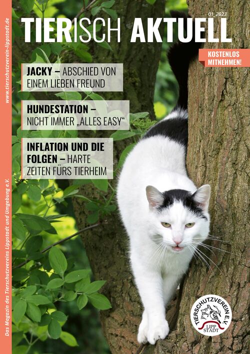 tierisch aktuell Magazin Lippstadt