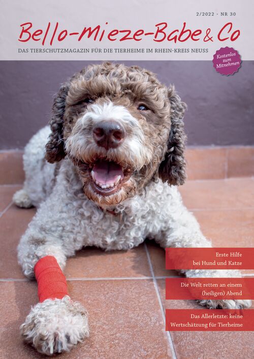 Bello-Mieze-Babe & Co Magazin Neuss