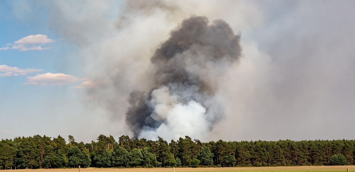 Waldbrand