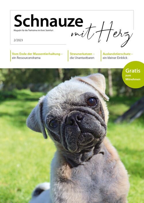 Schnauze mit Herz